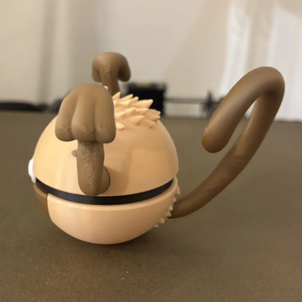 IMG_0481 - Copie.webp