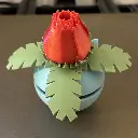 IMG_0581 - Copie.webp