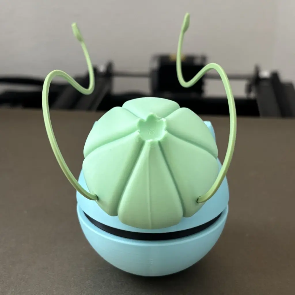 IMG_0449 - Copie.webp